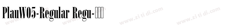 PlauW05-Regular Regu字体转换